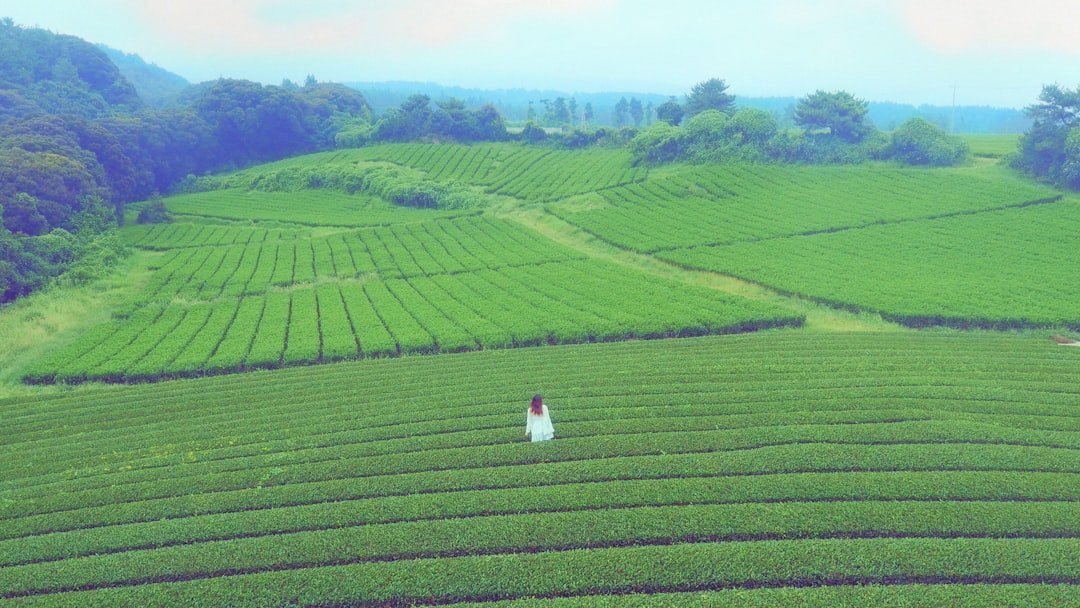 Photo Jeju Island