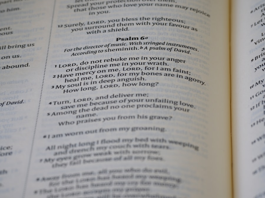 Photo Skillet Cookbook