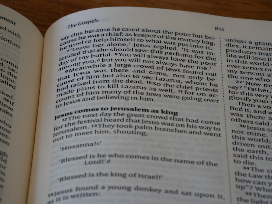 Photo Fermentation Cookbook